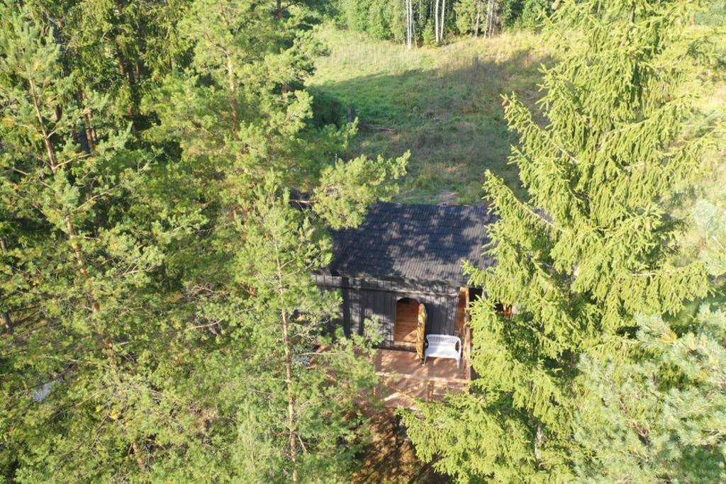 Viking House In The Tree! Jacuzzi, Sauna,Apkure! Lici  Exteriér fotografie
